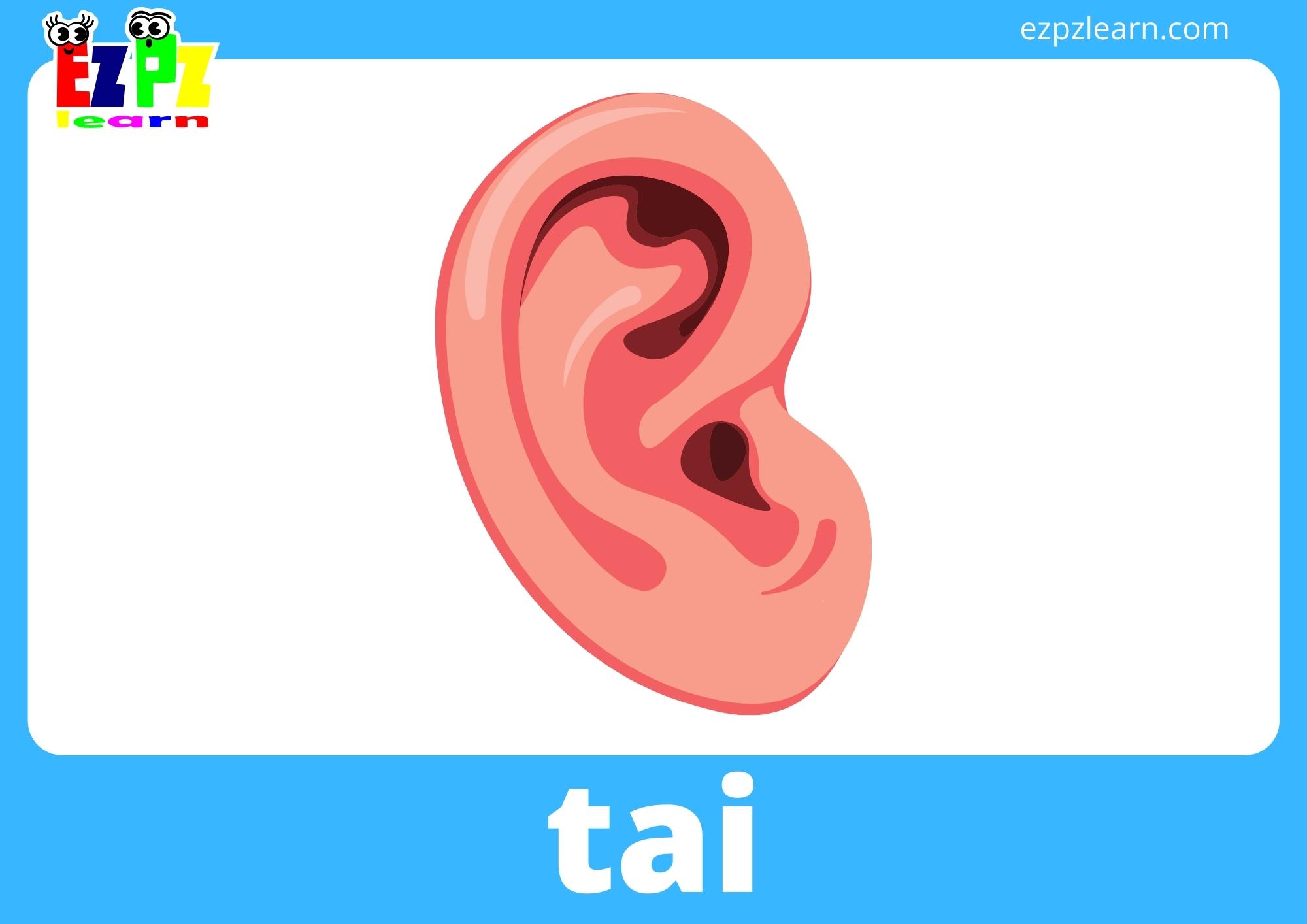 tai